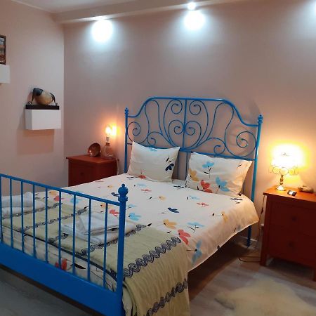 Skyline Central Apartment Timişoara Extérieur photo