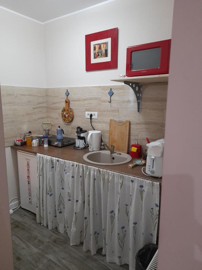 Skyline Central Apartment Timişoara Extérieur photo
