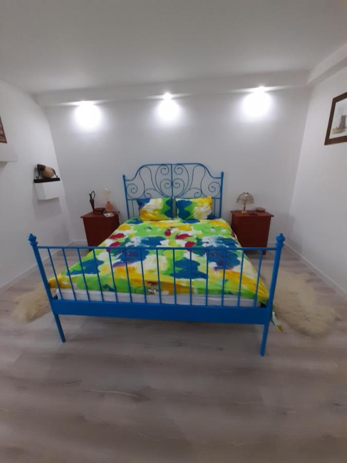 Skyline Central Apartment Timişoara Extérieur photo