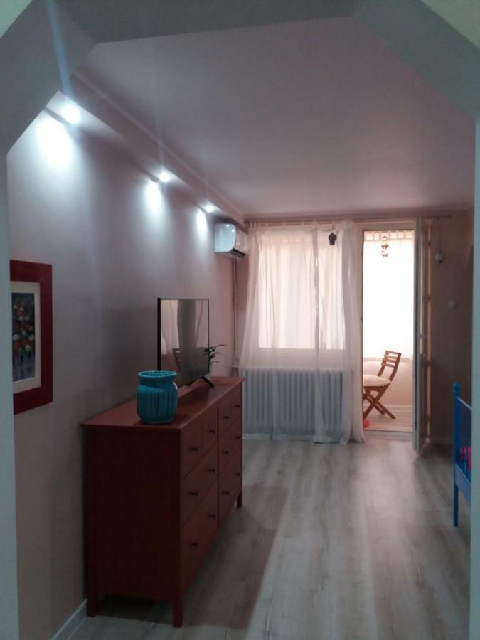 Skyline Central Apartment Timişoara Extérieur photo