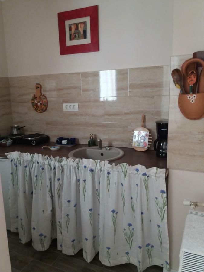Skyline Central Apartment Timişoara Extérieur photo