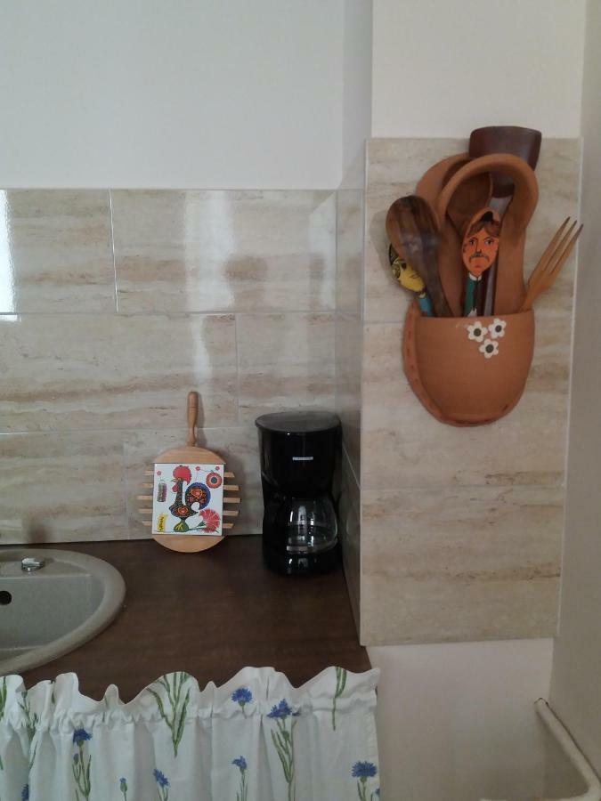 Skyline Central Apartment Timişoara Extérieur photo