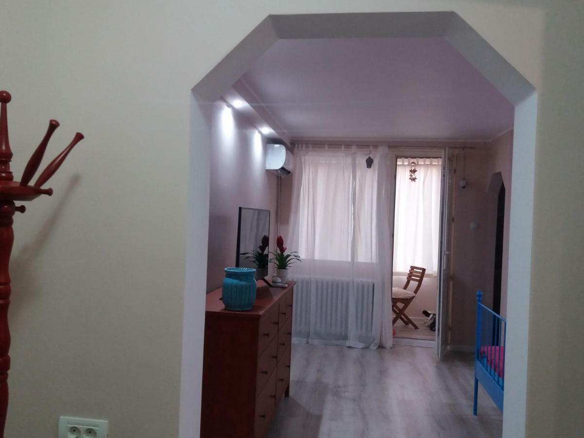 Skyline Central Apartment Timişoara Extérieur photo