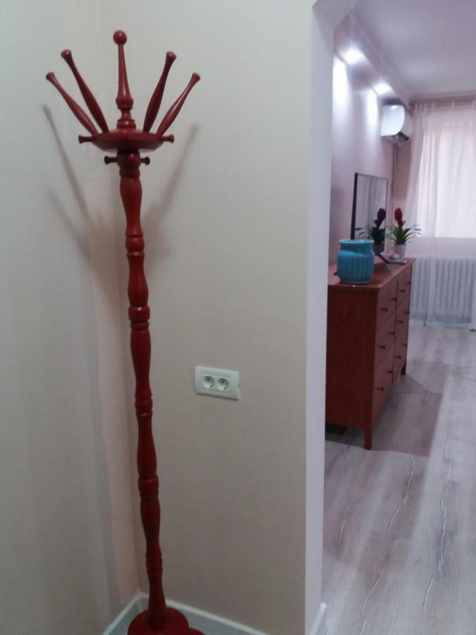 Skyline Central Apartment Timişoara Extérieur photo