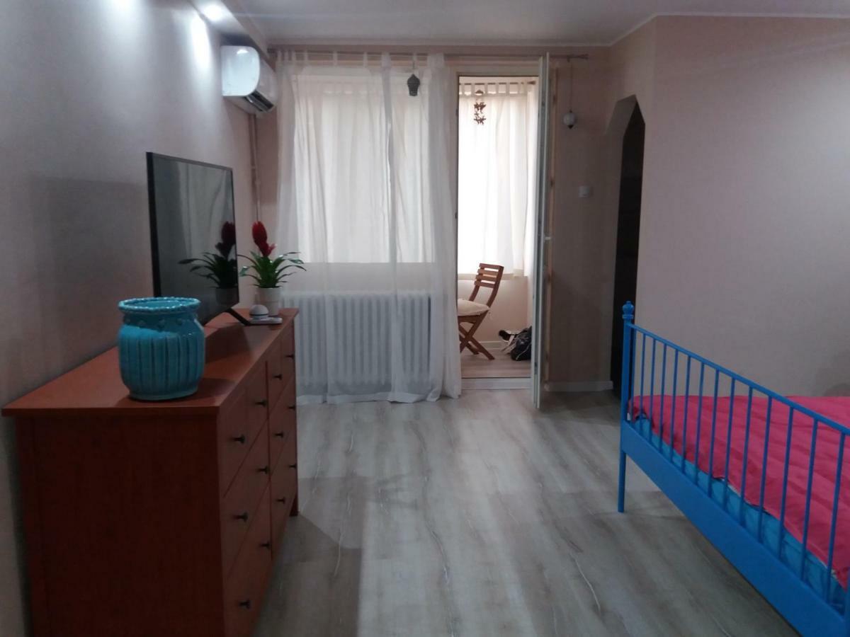 Skyline Central Apartment Timişoara Extérieur photo