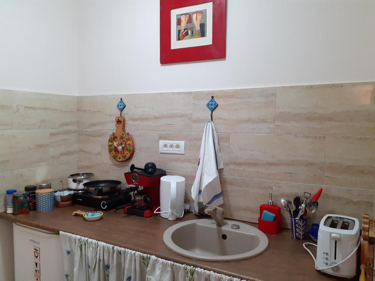 Skyline Central Apartment Timişoara Extérieur photo