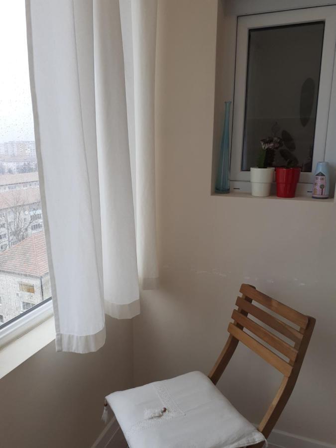 Skyline Central Apartment Timişoara Extérieur photo